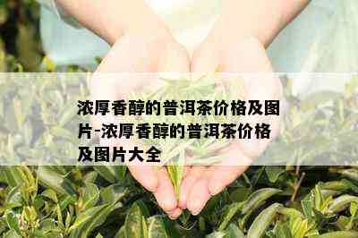 浓厚香醇的普洱茶价格及图片-浓厚香醇的普洱茶价格及图片大全