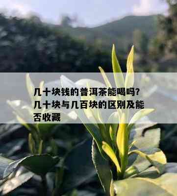 几十块钱的普洱茶能喝吗？几十块与几百块的区别及能否收藏