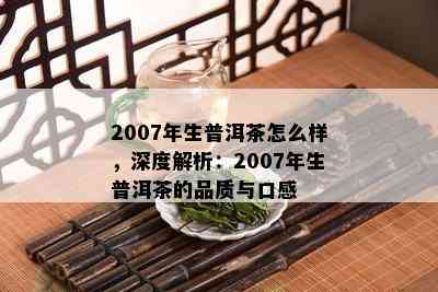 2007年生普洱茶怎么样，深度解析：2007年生普洱茶的品质与口感