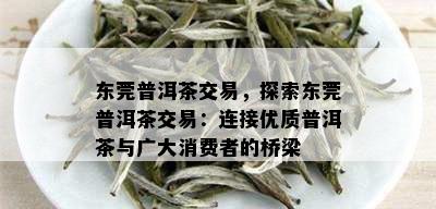 东莞普洱茶交易，探索东莞普洱茶交易：连接优质普洱茶与广大消费者的桥梁