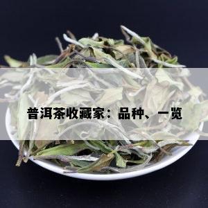 普洱茶收藏家：品种、一览