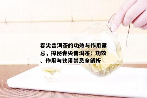 春尖普洱茶的功效与作用禁忌，探秘春尖普洱茶：功效、作用与饮用禁忌全解析