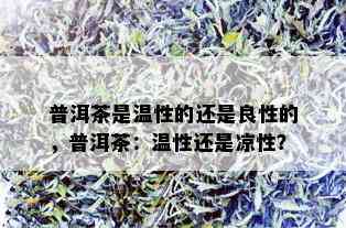 普洱茶是温性的还是良性的，普洱茶：温性还是凉性？