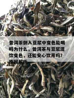 普洱茶倒入豆浆中变色能喝吗为什么，普洱茶与豆浆混饮变色，还能安心饮用吗？原因解析