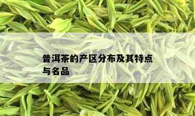 普洱茶的产区分布及其特点与名品