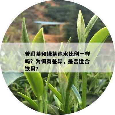 普洱茶和绿茶泡水比例一样吗？为何有差异，是否适合饮用？