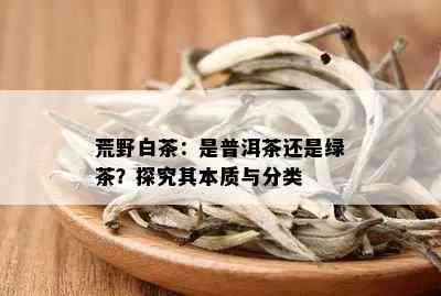 荒野白茶：是普洱茶还是绿茶？探究其本质与分类