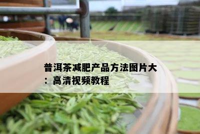 普洱茶减肥产品方法图片大：高清视频教程