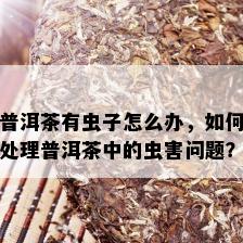 普洱茶有虫子怎么办，如何处理普洱茶中的虫害问题？