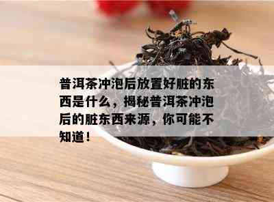 普洱茶冲泡后放置好脏的东西是什么，揭秘普洱茶冲泡后的脏东西来源，你可能不知道！