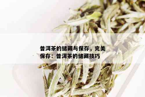 普洱茶的储藏与保存，完美保存：普洱茶的储藏技巧