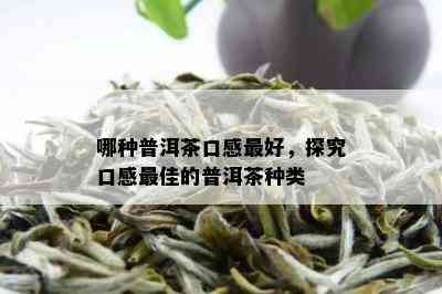 哪种普洱茶口感更好，探究口感更佳的普洱茶种类