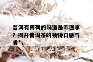 普洱有薄荷的味道是咋回事？揭开普洱茶的独特口感与香气