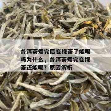 普洱茶煮完后变绿茶了能喝吗为什么，普洱茶煮完变绿茶还能喝？原因解析