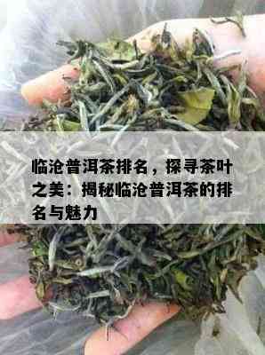 临沧普洱茶排名，探寻茶叶之美：揭秘临沧普洱茶的排名与魅力