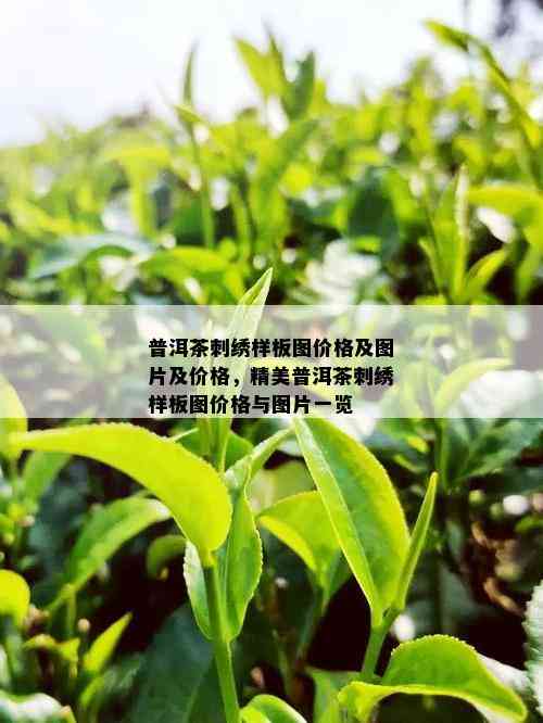 普洱茶刺绣样板图价格及图片及价格，精美普洱茶刺绣样板图价格与图片一览