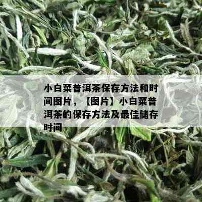 小白菜普洱茶保存方法和时间图片，【图片】小白菜普洱茶的保存方法及更佳储存时间