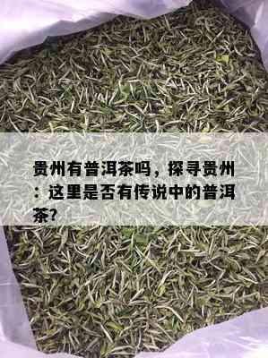 贵州有普洱茶吗，探寻贵州：这里是否有传说中的普洱茶？