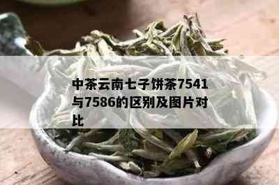 中茶云南七子饼茶7541与7586的区别及图片对比