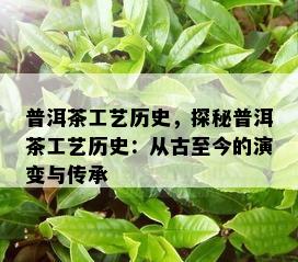 普洱茶工艺历史，探秘普洱茶工艺历史：从古至今的演变与传承