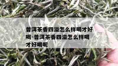 普洱茶香四溢怎么样喝才好喝-普洱茶香四溢怎么样喝才好喝呢