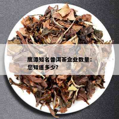 鹰潭知名普洱茶企业数量：您知道多少？