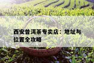 西安普洱茶专卖店：地址与位置全攻略