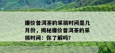 廉价普洱茶的采摘时间是几月份，揭秘廉价普洱茶的采摘时间：你了解吗？