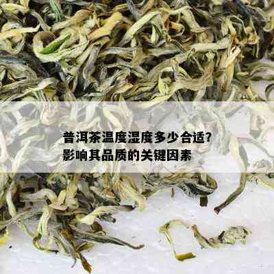 普洱茶温度湿度多少合适？影响其品质的关键因素