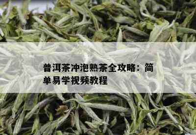 普洱茶冲泡熟茶全攻略：简单易学视频教程