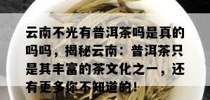 云南不光有普洱茶吗是真的吗吗，揭秘云南：普洱茶只是其丰富的茶文化之一，还有更多你不知道的！