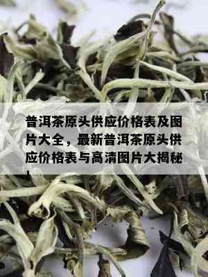 普洱茶原头供应价格表及图片大全，最新普洱茶原头供应价格表与高清图片大揭秘！