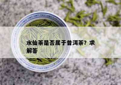 水仙茶是否属于普洱茶？求解答