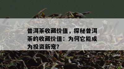 普洱茶收藏价值，探秘普洱茶的收藏价值：为何它能成为投资新宠？