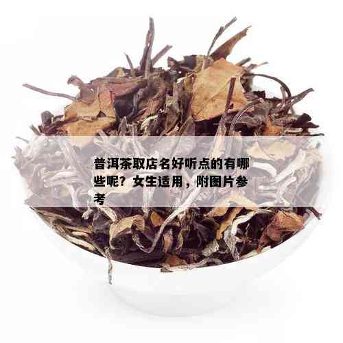 普洱茶取店名好听点的有哪些呢？女生适用，附图片参考