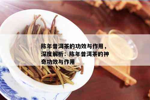 陈年普洱茶的功效与作用，深度解析：陈年普洱茶的神奇功效与作用