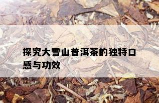 探究大雪山普洱茶的独特口感与功效