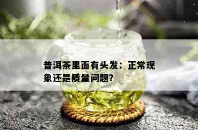 普洱茶里面有头发：正常现象还是质量问题？