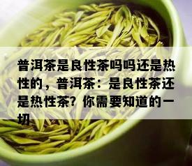 普洱茶是良性茶吗吗还是热性的，普洱茶：是良性茶还是热性茶？你需要知道的一切