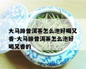 大马蹄普洱茶怎么泡好喝又香-大马蹄普洱茶怎么泡好喝又香的