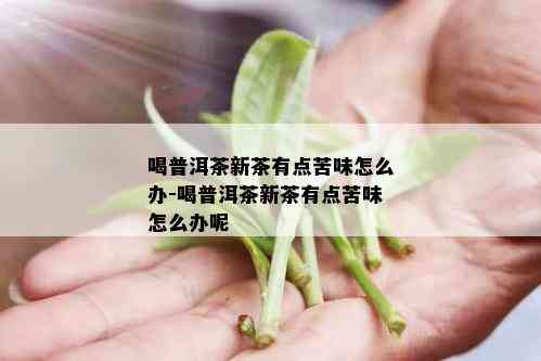 喝普洱茶新茶有点苦味怎么办-喝普洱茶新茶有点苦味怎么办呢