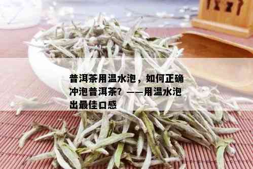 普洱茶用温水泡，如何正确冲泡普洱茶？——用温水泡出更佳口感