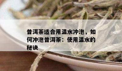 普洱茶适合用温水冲泡，如何冲泡普洱茶：使用温水的秘诀