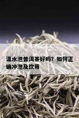 温水泡普洱茶好吗？如何正确冲泡及饮用