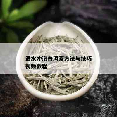 温水冲泡普洱茶方法与技巧视频教程