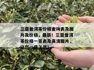 三亚普洱茶价格查询表及图片及价格，最新！三亚普洱茶价格一览表及高清图片，让您一目了然！