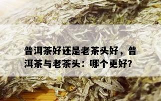 普洱茶好还是老茶头好，普洱茶与老茶头：哪个更好？