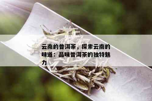 云南的普洱茶，探索云南的味道：品味普洱茶的独特魅力