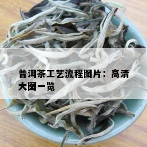 普洱茶工艺流程图片：高清大图一览