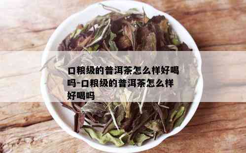 口粮级的普洱茶怎么样好喝吗-口粮级的普洱茶怎么样好喝吗